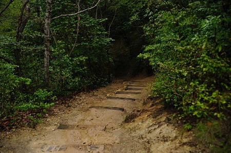 1104271620_DSC_0394