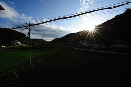 1106230623_DSC_1743