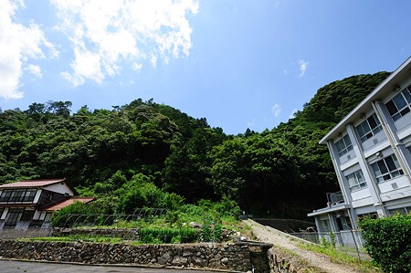 1106231243_DSC_2320