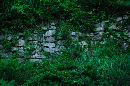 1107120621_DSC_5204