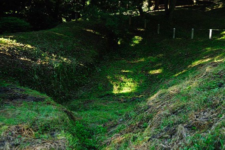 1107120718_DSC_5363