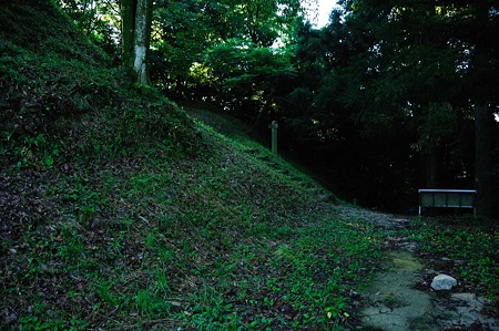 1107120719_DSC_5384