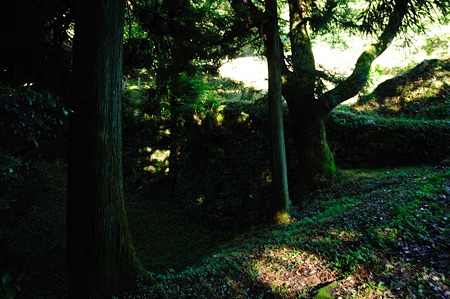 1107120720_DSC_5394