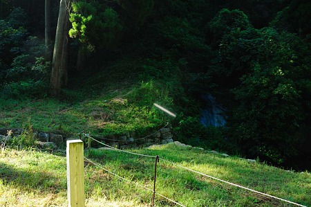 1107120750_DSC_5510