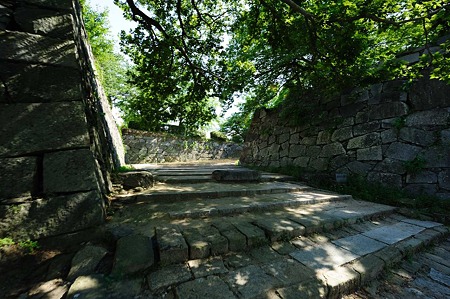 1107121509_DSC_3278