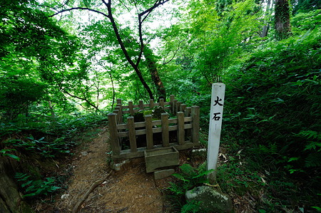 1108130834_DSC_4356