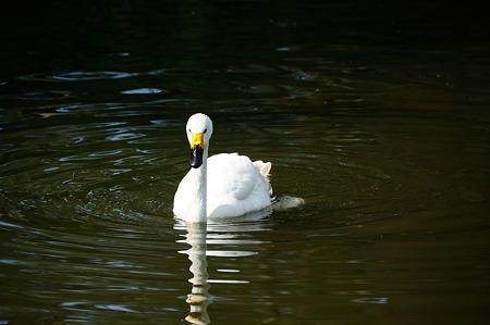 1108140846_DSC_6276