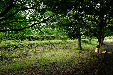 1108161655_DSC_7823