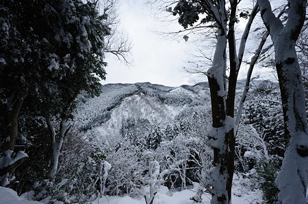 1101011052_DSC_5988
