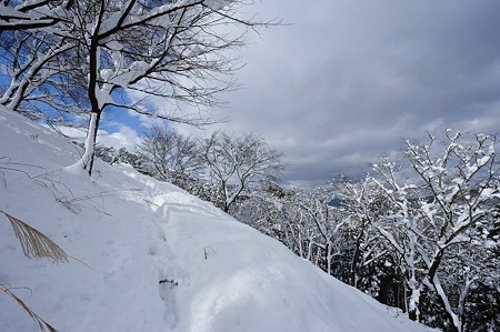 1101011210_DSC_6170