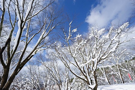 1101011319_DSC_6419