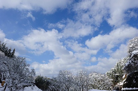 1101011328_DSC_6437