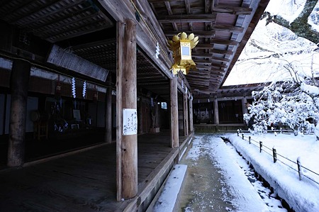 1101011431_DSC_6561