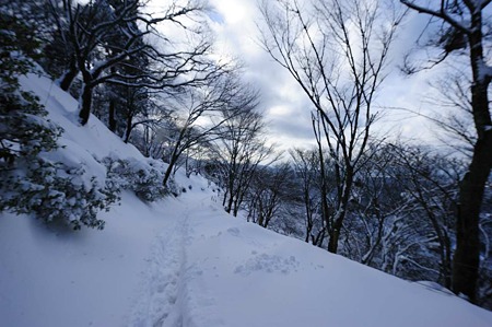 1101011439_DSC_6598