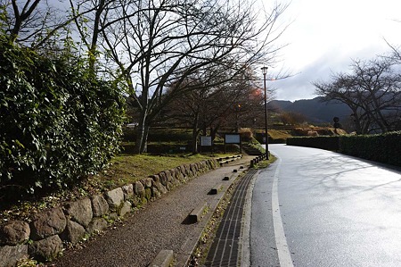 1101021027_DSC_6980