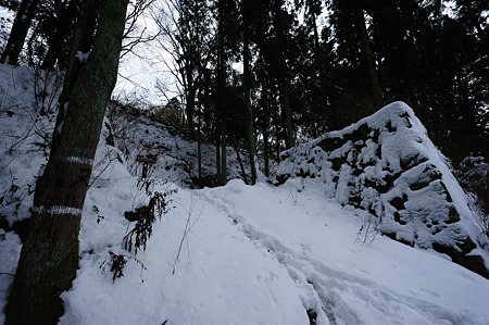1101021235_DSC_7185