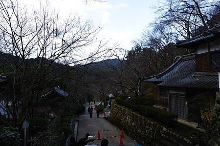1101021500_DSC_7454