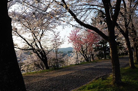 1104121751_DSC_5006