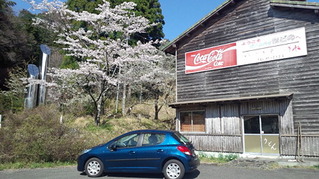 グリーンパークほどのDCF00244