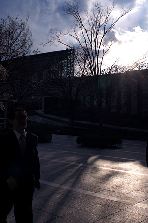 DSC05726m