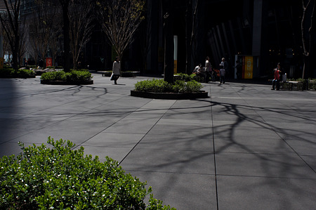 DSC05814m
