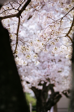 PICT0017