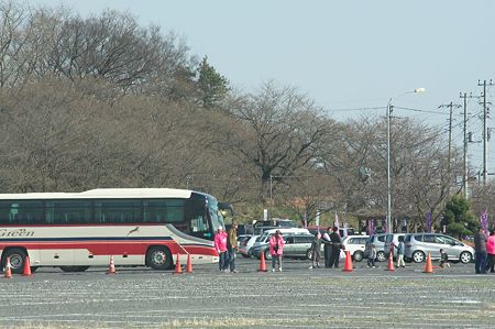 桜まつり3