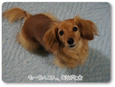 20120316 もーたんさん、ありがと☆