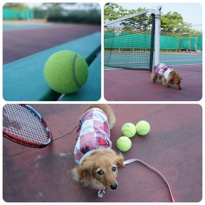 20120527 tennis