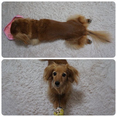 20120607 JURI