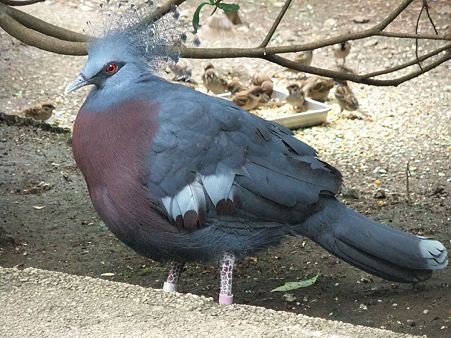 DSCF7307