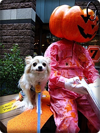 キャナルシティハロウィン