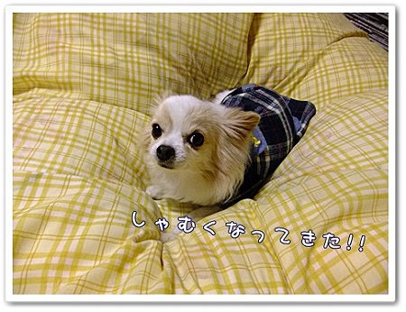 寒い