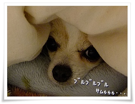 寒い