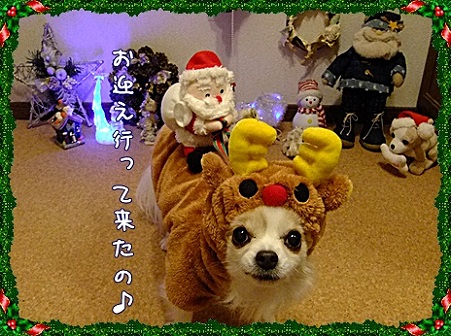 お迎えです