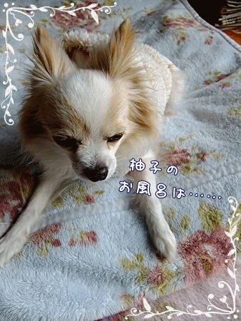 柚子風呂は……