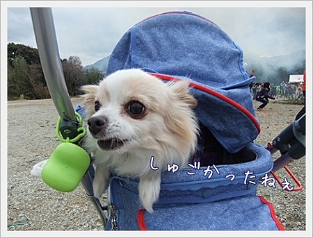 凄い