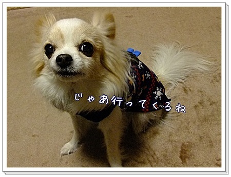 行ってくるね