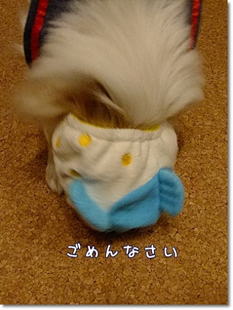 ゴメンナサイ