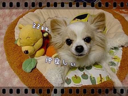 仲良し