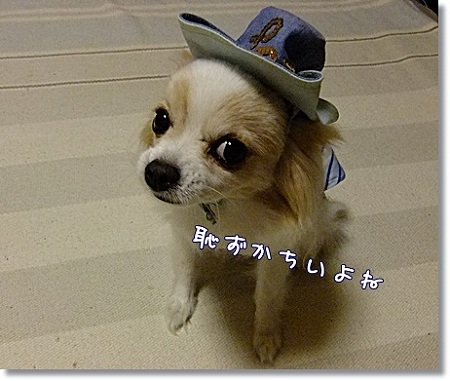 恥ずかしい