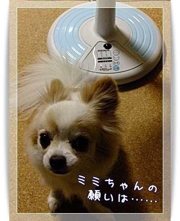 願い