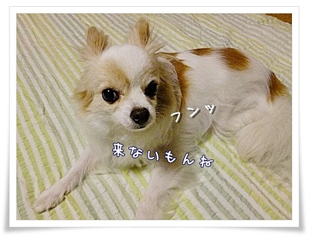 フンッ