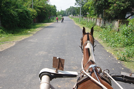 IMGP8662