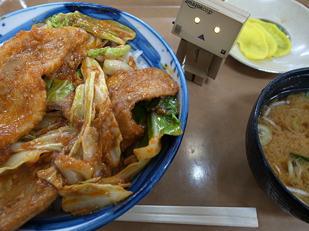 山梨辛味噌丼(中央道【上り】・双葉SA)