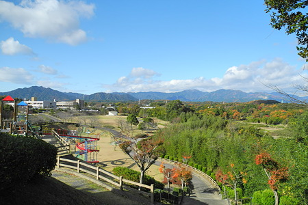 亀山公園の紅葉・8