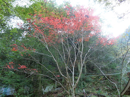 施福寺 (4)