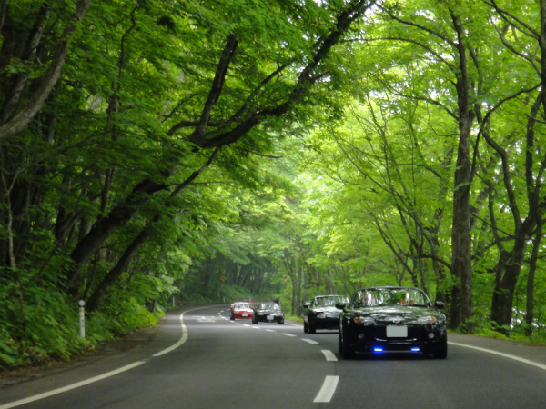 十和田の緑の道を走るロードスター達