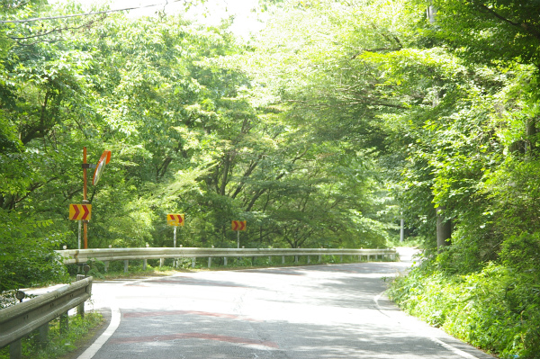 前をロードスターが走っていないのが少し残念