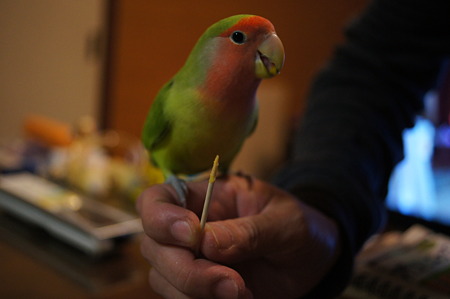 DSC00606